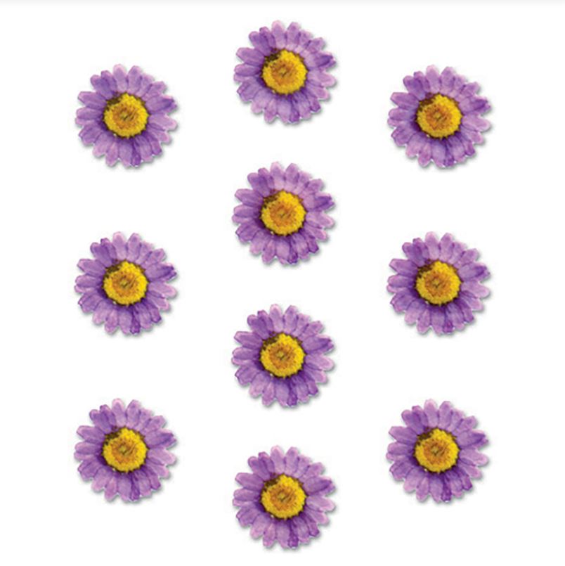 Pressed Flowers