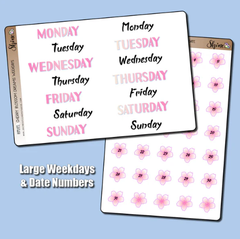 Shine Sticker Studio - Cherry Bossom Dreams | March 2026 Subscription