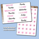 *PREORDER* Shine Sticker Studio - Cherry Bossom Dreams | March 2026 Subscription