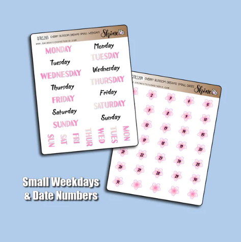 Shine Sticker Studio - Cherry Bossom Dreams | March 2026 Subscription