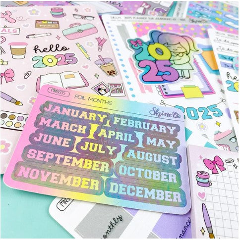 *PRESALE* Shine Sticker Studio - 2025 Planner | November 2024 Subscription