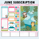 Sweet Bean Plans | JUNE 2025 WASHI & STICKER Subscription