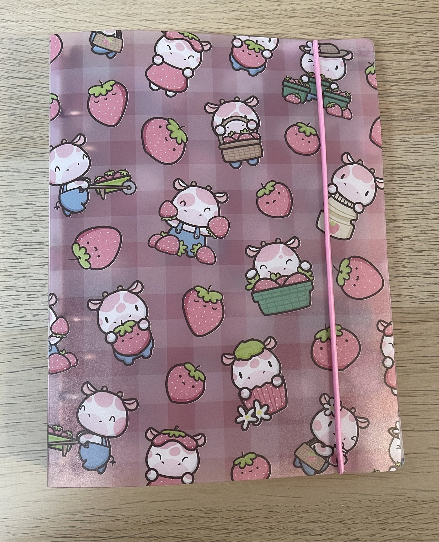 Hubman and Chubgirl - STORAGE BINDER