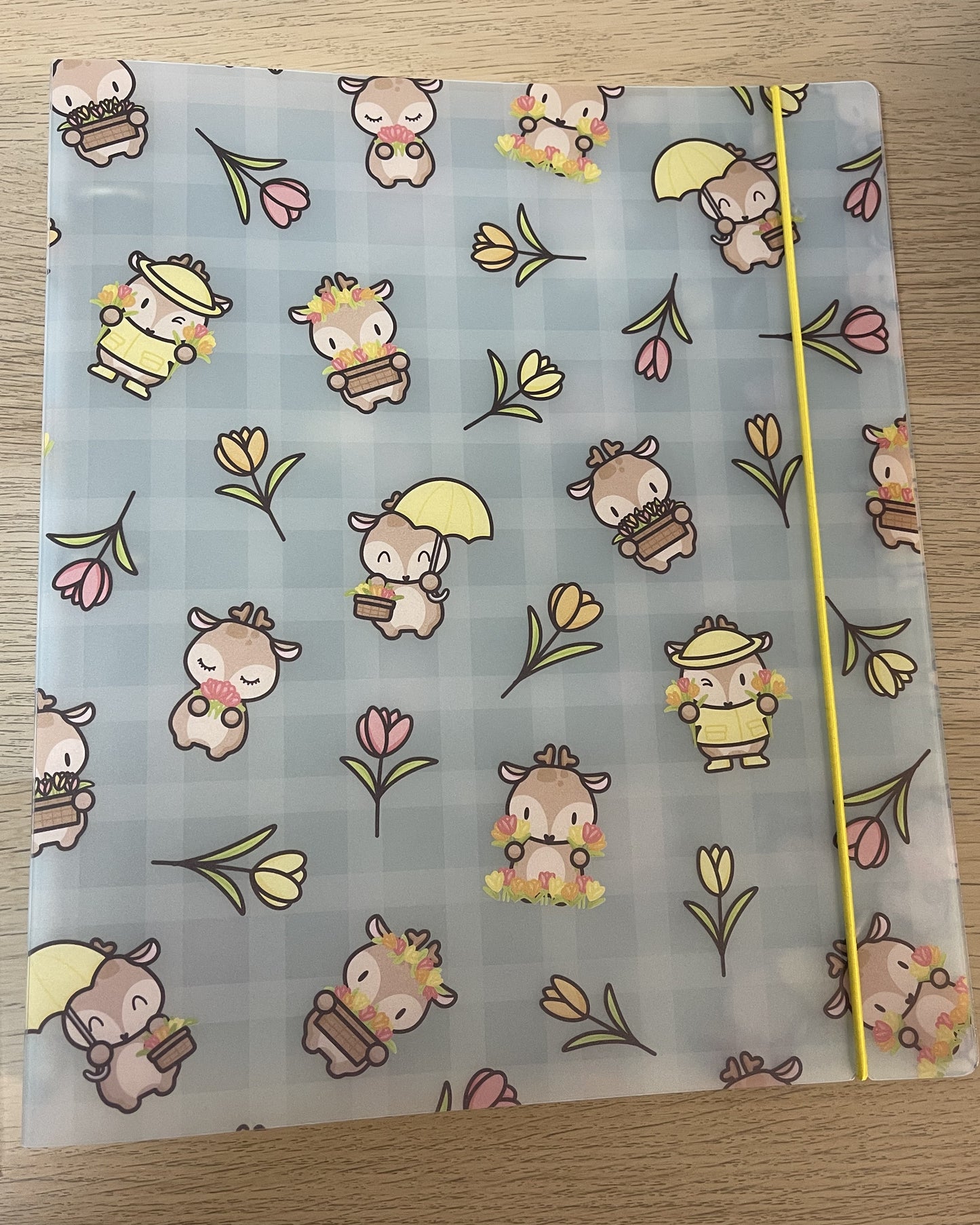 Hubman and Chubgirl - MEDIUM STORAGE BINDER