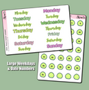 *PRESALE* Shine Sticker Studio - I Love Pickles | May 2026 Subscription