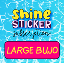 *PREORDER* Shine Sticker Studio - Beach Babe | June 2026 Subscription