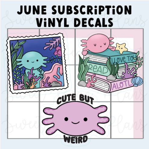 *PRESALE* Sweet Bean Plans | JUNE 2026 WASHI & STICKER Subscription
