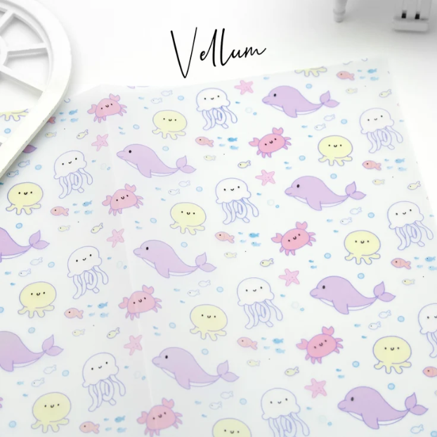 Sea Dreams | Vellum