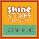 Shine Sticker Studio - Feelin' Groovy | July 2025 Subscription