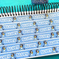 Blue Dog | Washi