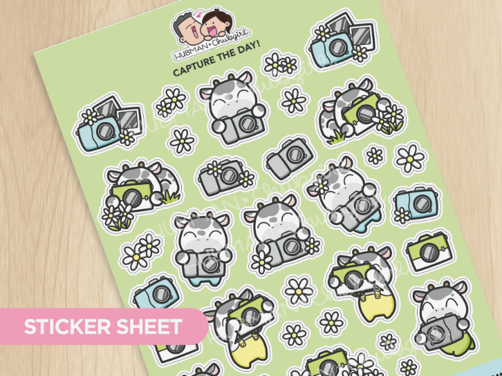 Capture the Day | Big Sticker Sheet