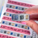 Fourth Wing Books | Washi