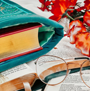 Luna Moth | Book Sleeve