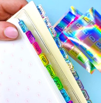 Rainbow HOLO Mini Monthly Tabs | Mini Sheet