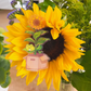 Sunflower Froggie | Vinyl Sticker