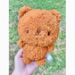 Teddy | Plushy