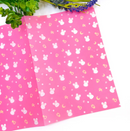 Moon Prism - Bunny | Vellum