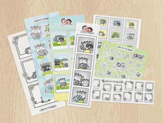 Capture The Day | Variety Sticker Pack