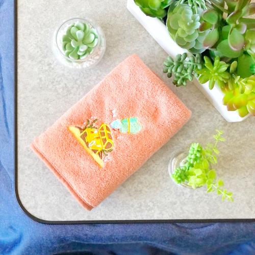 Anniversary Box - Coral Plush Hand Towel