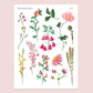 Pretty Bloom | Sticker Sheet