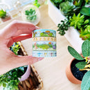 Dinoh Land | Washi (Set of 4)