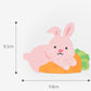 Rabbit Lollipop Holder (set of 5)