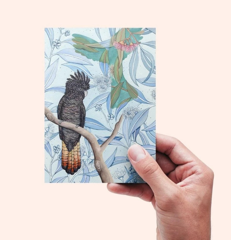 Red Tail Black Cockatoo | Greeting Card