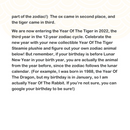 [Day 11] Year Of The Tiger 2022 | Steamie with Tofu the Tiger Hat | Plushie
