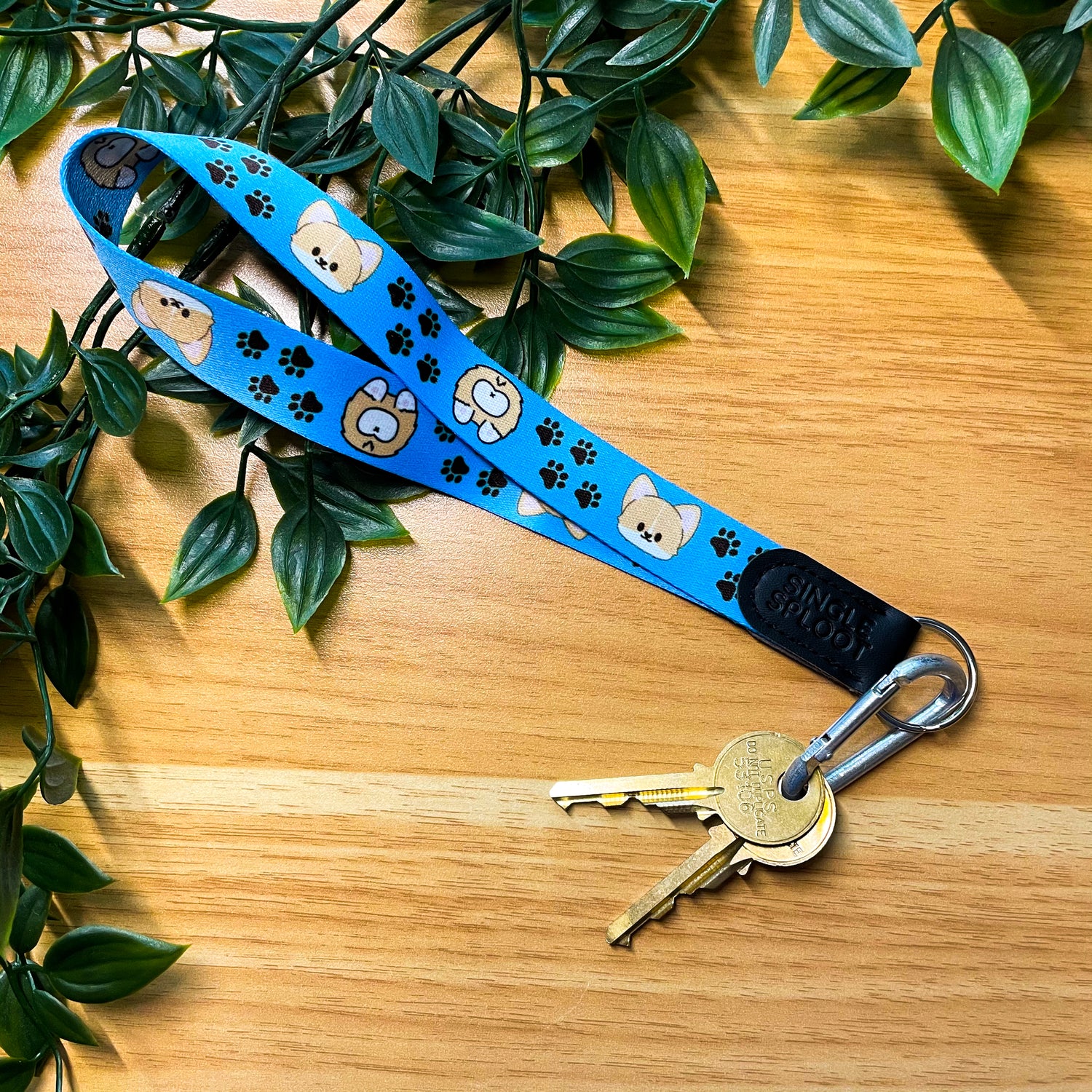 Lanyard