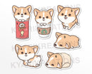 Cute Corgi | Stickers