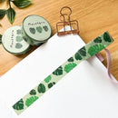 Monstera | Washi