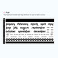 Fireworks | Monthly A5W