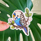 Blue White Budgie Parakeet | Vinyl Sticker