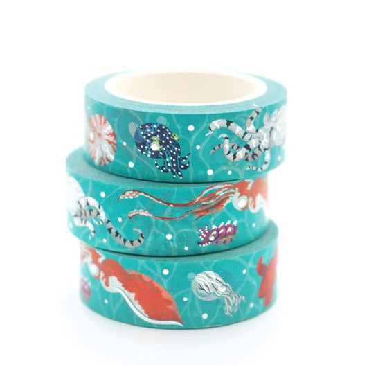 Cephalopod | Washi