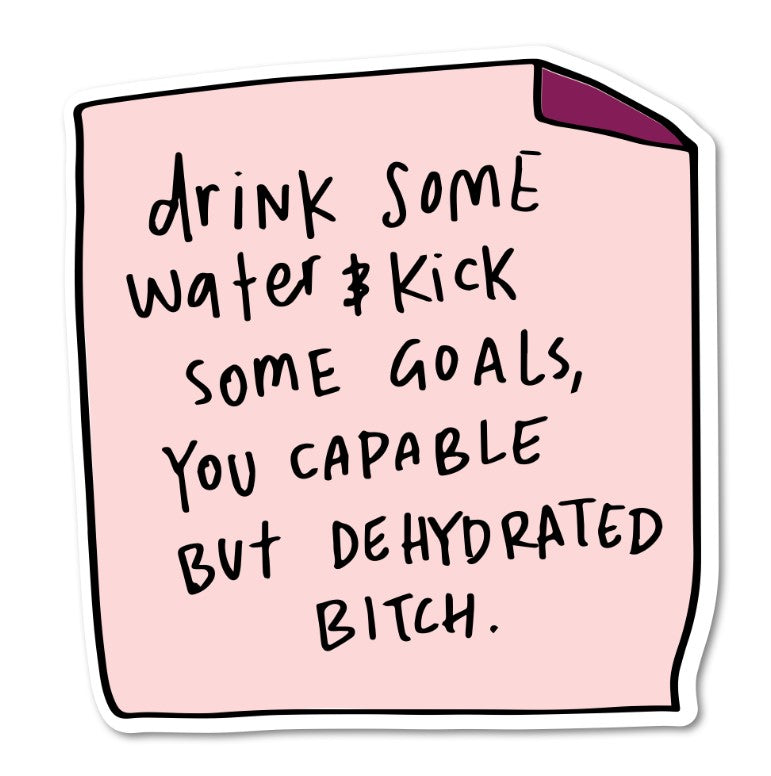Drink Water & Kick Goals, You Capable but Dehydrated Bitch | Vinyl Sticker