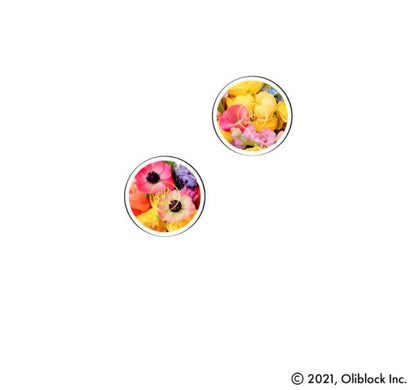 Felicity Magnetic OliClip
