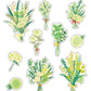 Flowers - Green | Sticker Pack