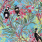 Magpies in the Gum Blossom | Greeting Card