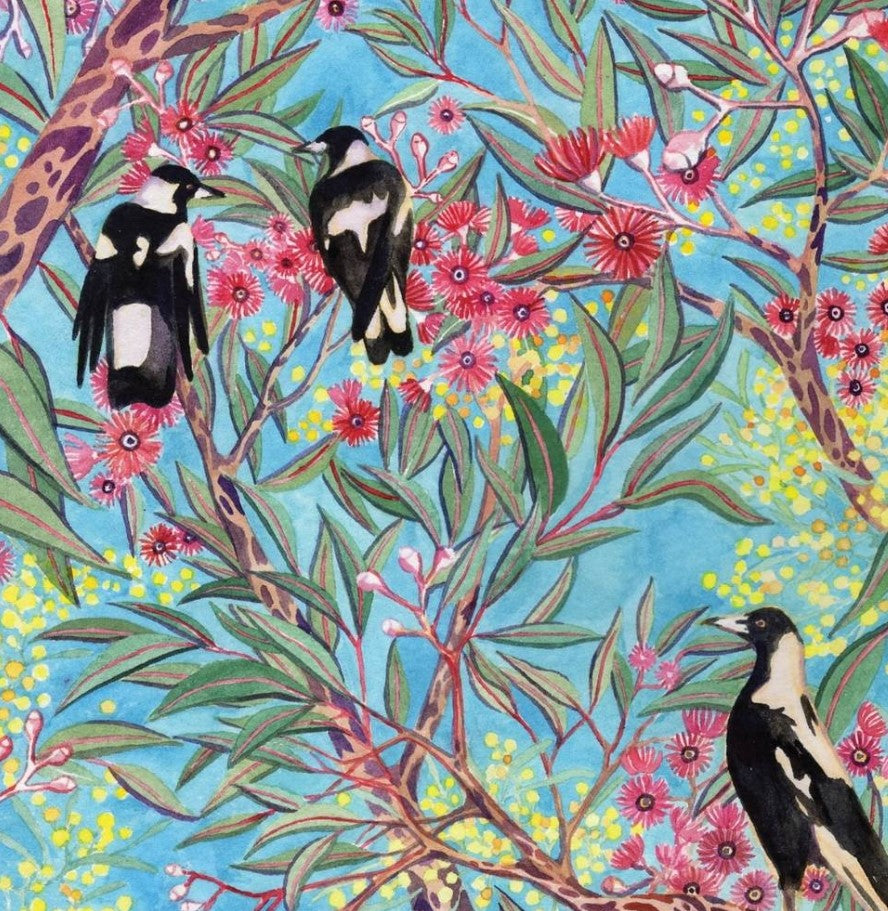 Magpies in the Gum Blossom | Greeting Card