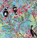 Magpies in the Gum Blossom | Greeting Card