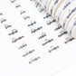 Months Of The Year Scripts Washi Set (Set of 12)