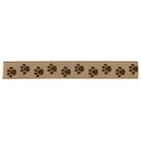 Paw Print | Ribbon