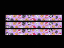 Purple Cats | Washi