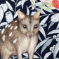 Northern Quoll | Greeting Card