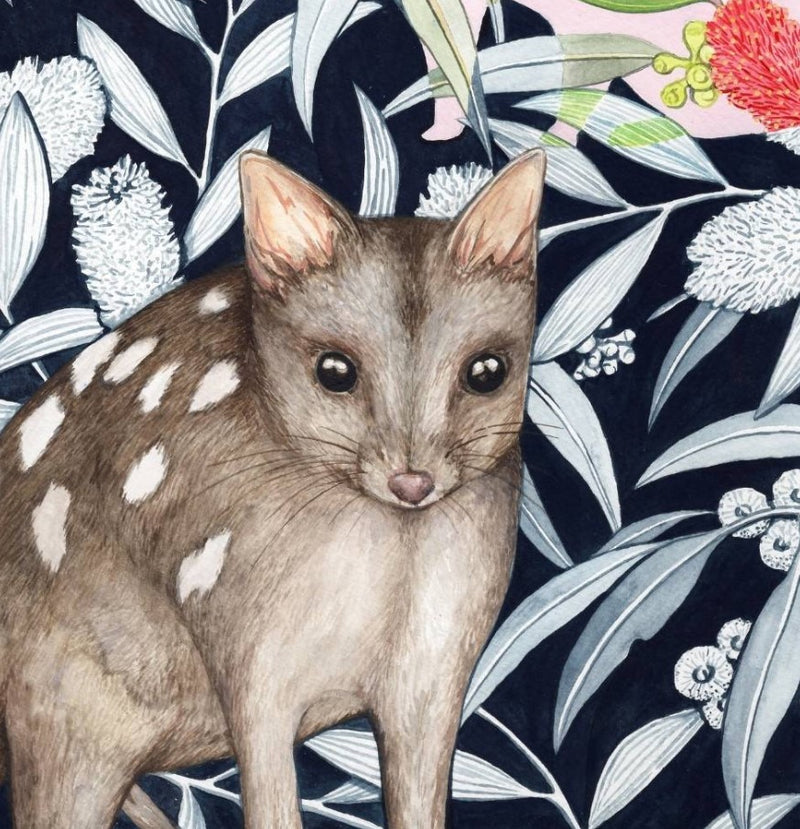 Northern Quoll | Greeting Card