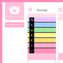 Rainbow Roadtrip (a-la-carte)