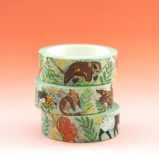 Rainforest | Washi