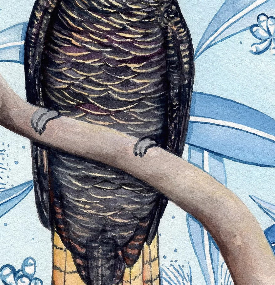 Red Tail Black Cockatoo | Greeting Card