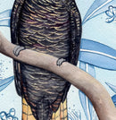 Red Tail Black Cockatoo | Greeting Card