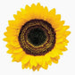 Sunflower | Diecut Card